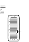 Schematic representation of an older plant